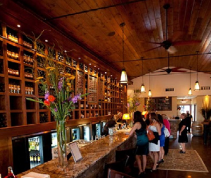 wine country sonoma county marin napa pinot sirah tours travels excursions driving transportation drives tour group