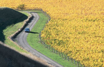 Napa Wine Tour Drivers ™ drivingwide1 Services  