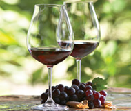 Napa Wine Tour Drivers ™ wineglasses Why Use Us  