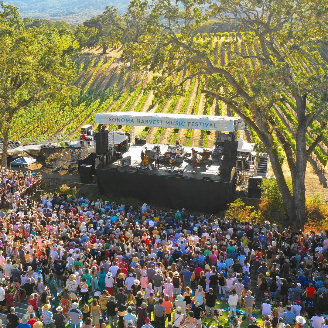 Napa-Wine-Tour-Drivers-2-1