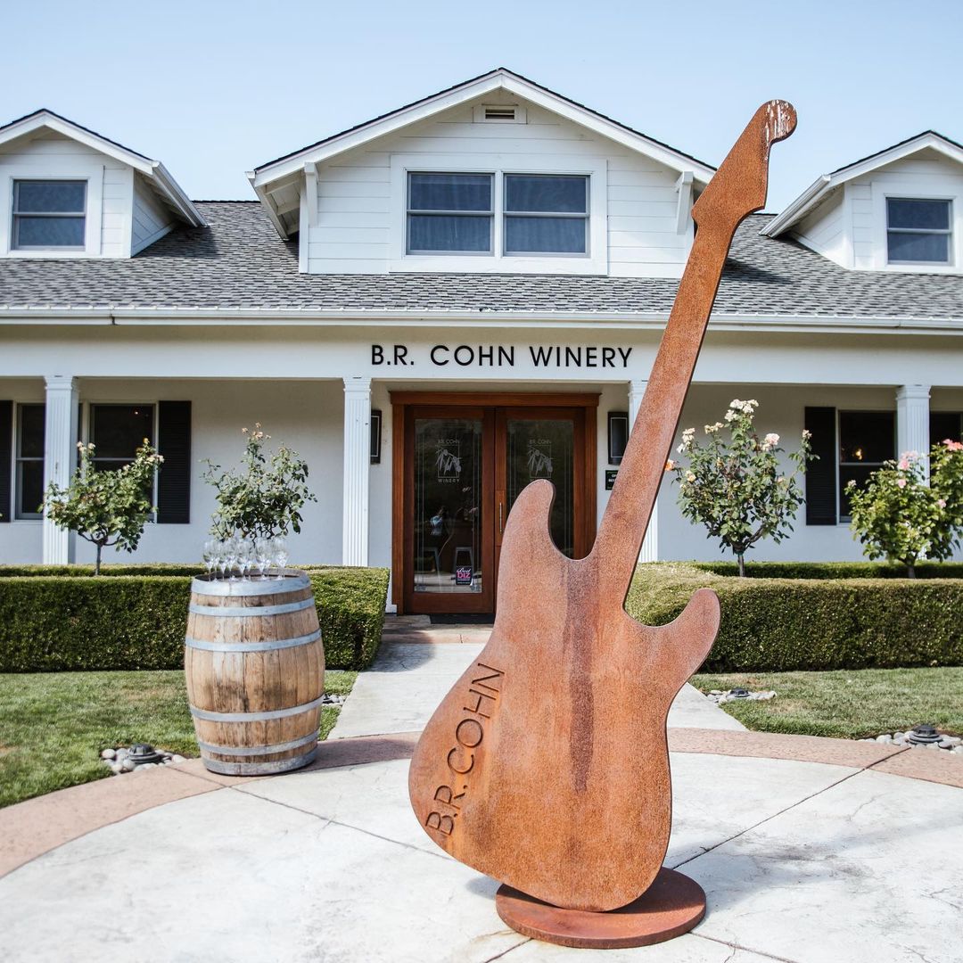 Napa-Wine-Tour-Drivers-4-1