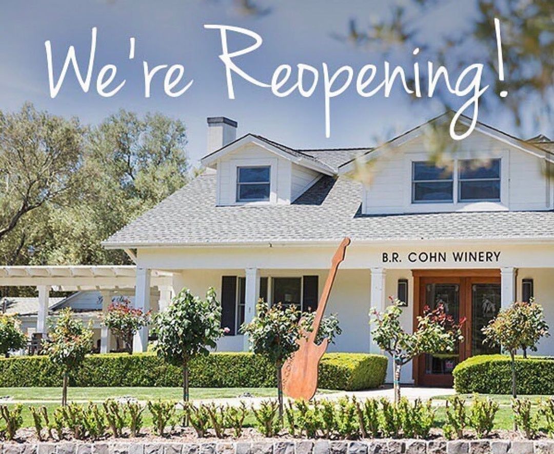 Napa-Wine-Tour-Drivers-8-1