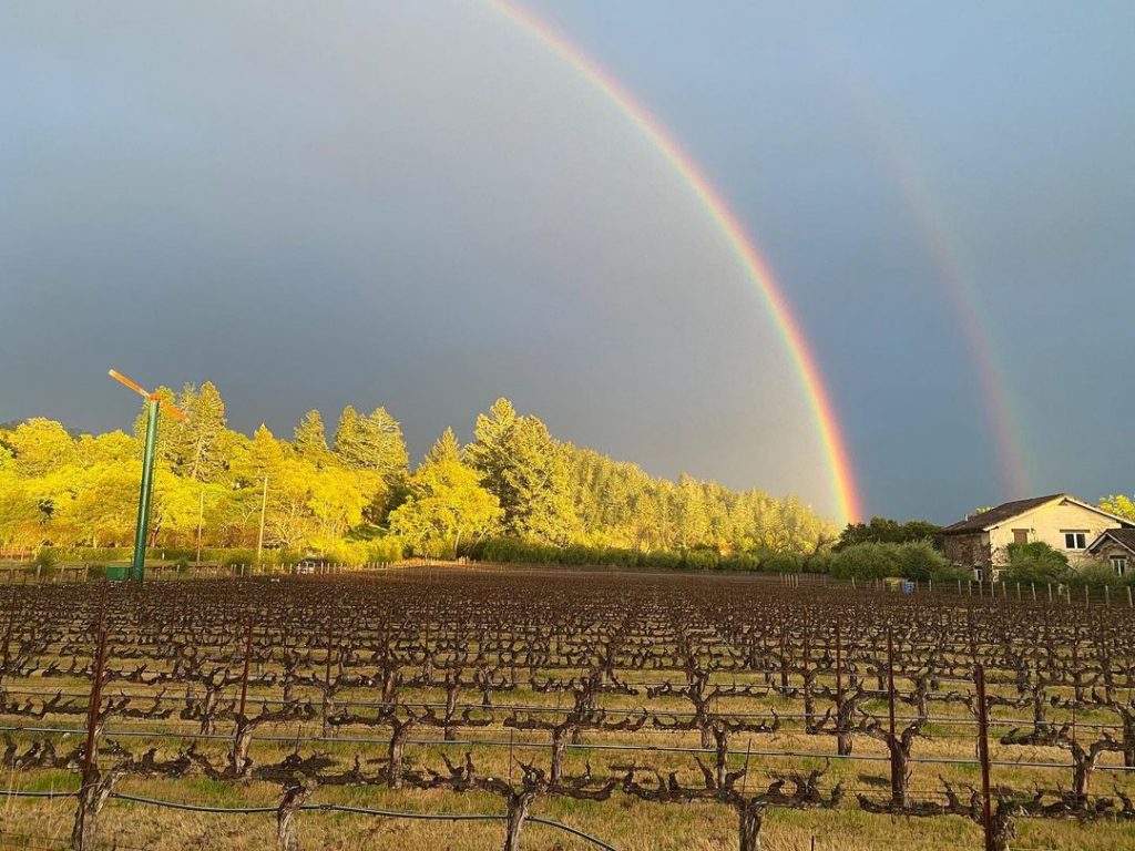 Napa Wine Tour Drivers ™ Over-the-rainbow-1024x768 Photo Gallery  