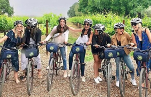 Napa Wine Tour Drivers ™ Napa-Bike-TOurs-300x193 Napa Wine Tours  